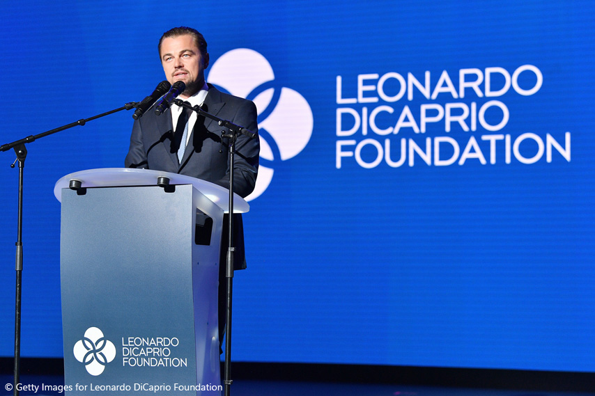 Leonardo DiCaprio Foundation1.jpg